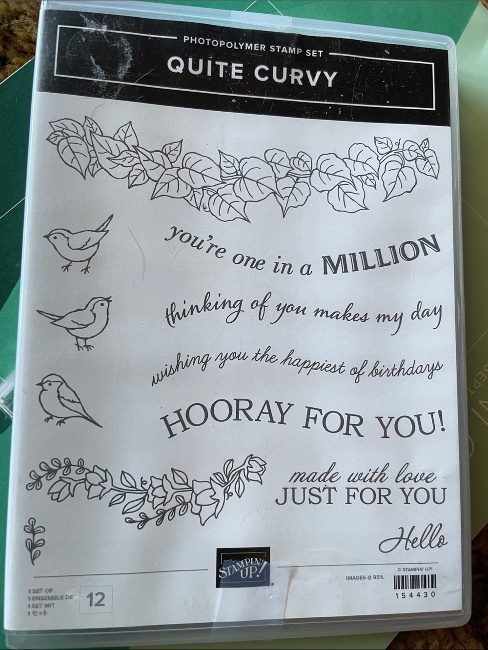Stampin' Up! Quite Curvy Photopolymer Stamp Set — black and white